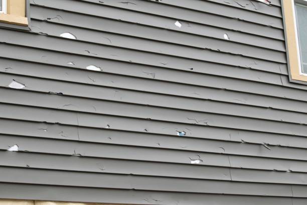 Trusted Fairview, TN Junk Removal Experts